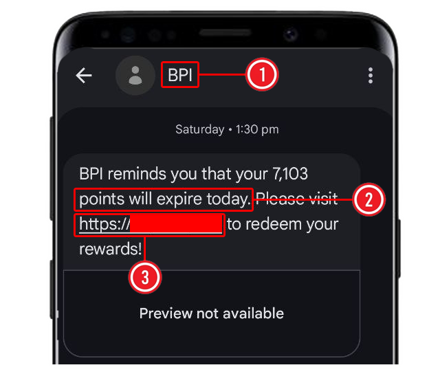 Fake Scam Points SMS Analysis