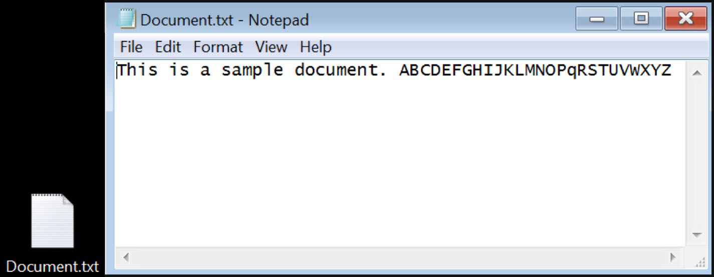 A plaintext bait file, Document.txt, readable in Notepad before detonating the sample